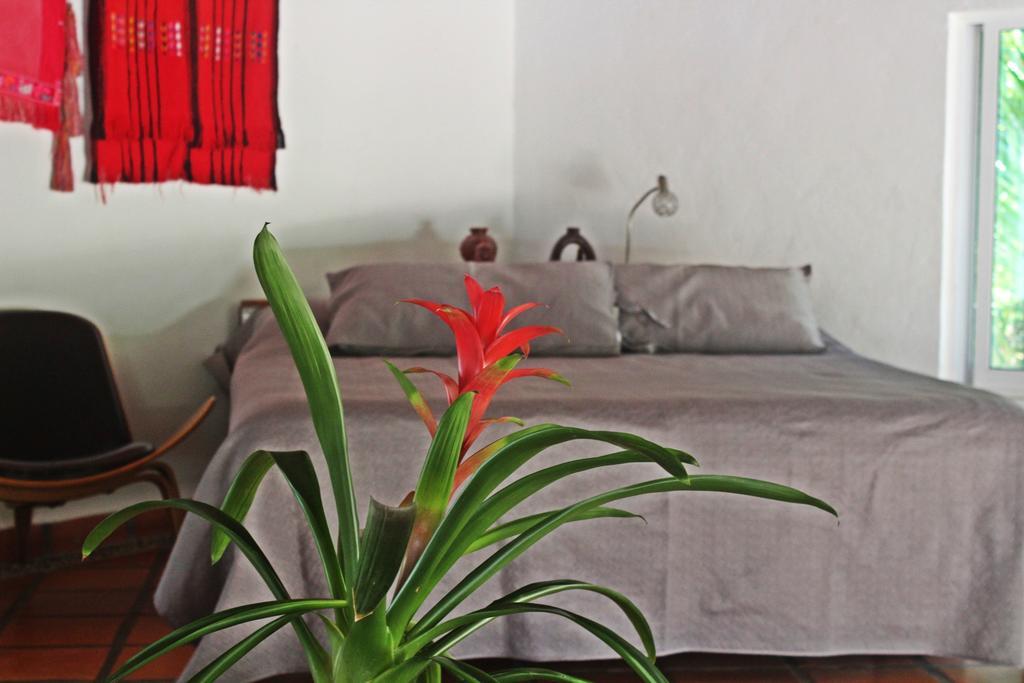 Hotel Que Onda Akumal Buitenkant foto